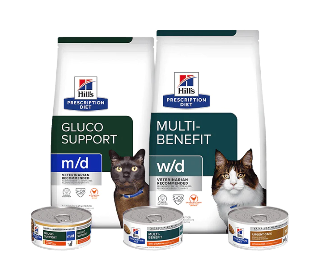 Prescription Diet  cat food