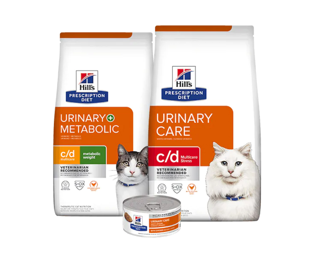 Urinary Care