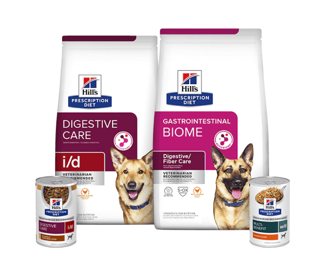Prescription Diet Digestive care dog food