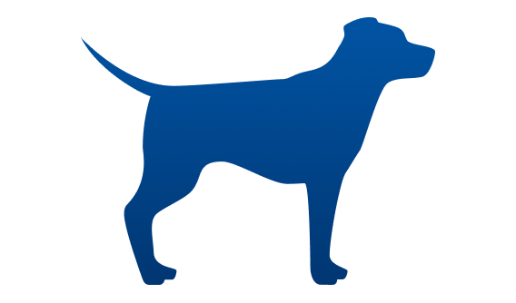 underweight dog