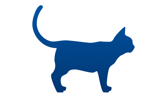 Ideal cat