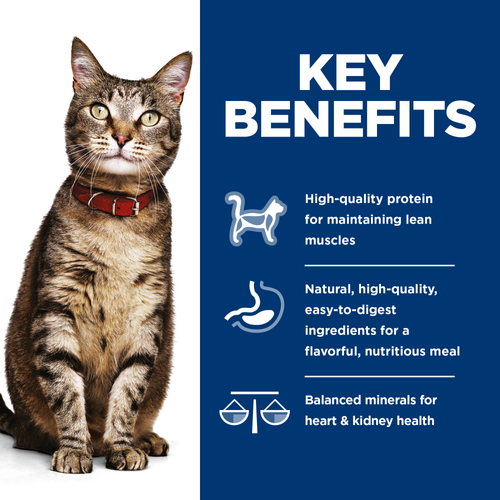 Key Benefits
